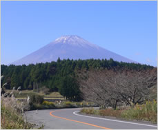 富士山と自然