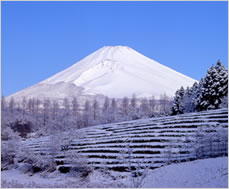 富士山と自然